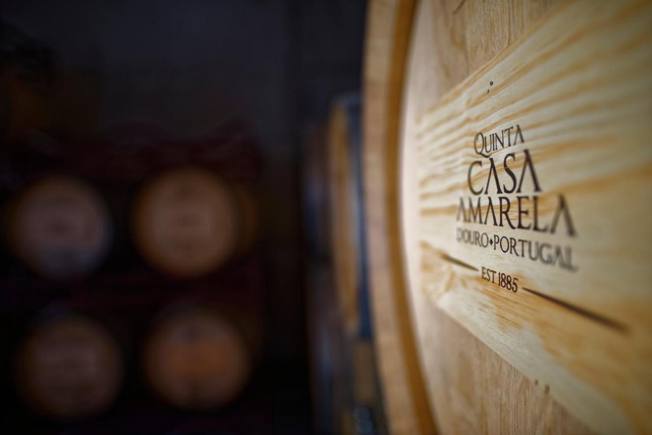 Quinta Da Casa Amarela- Casas Da Quinta - Turismo Em Espaco Rural لاميغو المظهر الخارجي الصورة